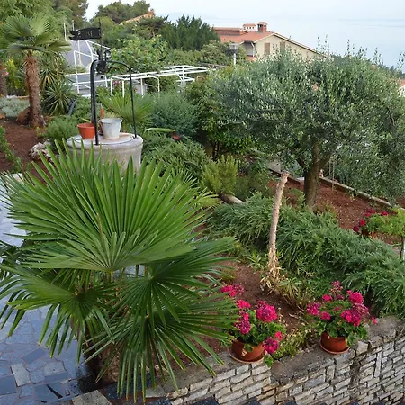 Flavia Apartment